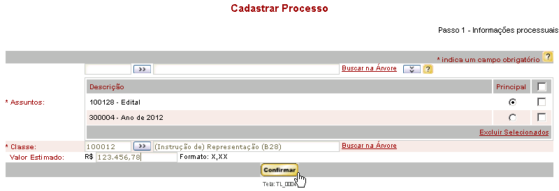 CadastroProcesso_InformacoesProcessuais_Ok_TL0004.png